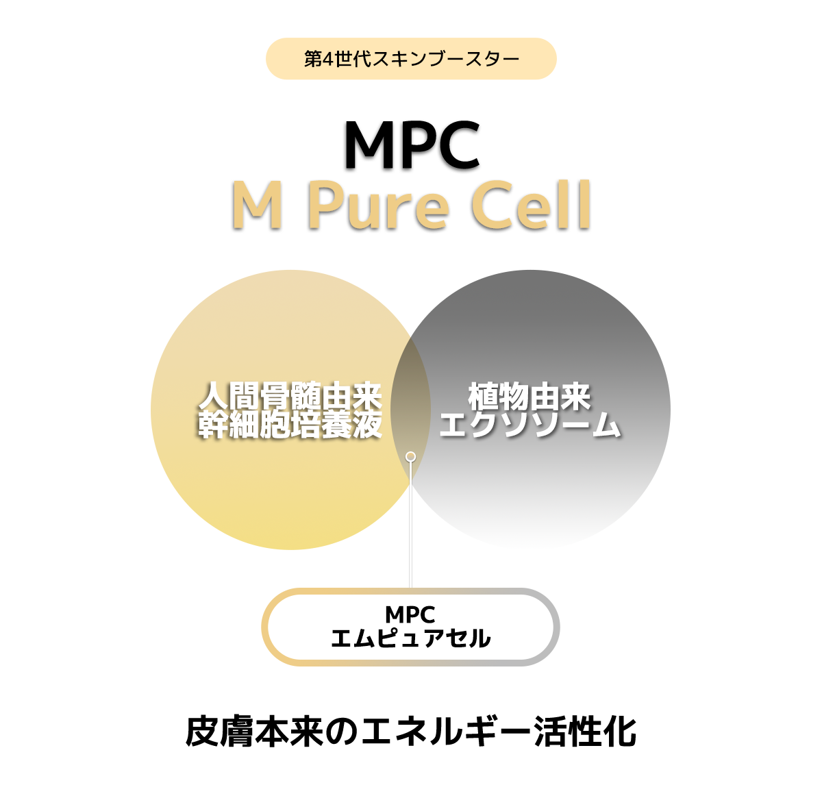 JK beauty Cell Clinic