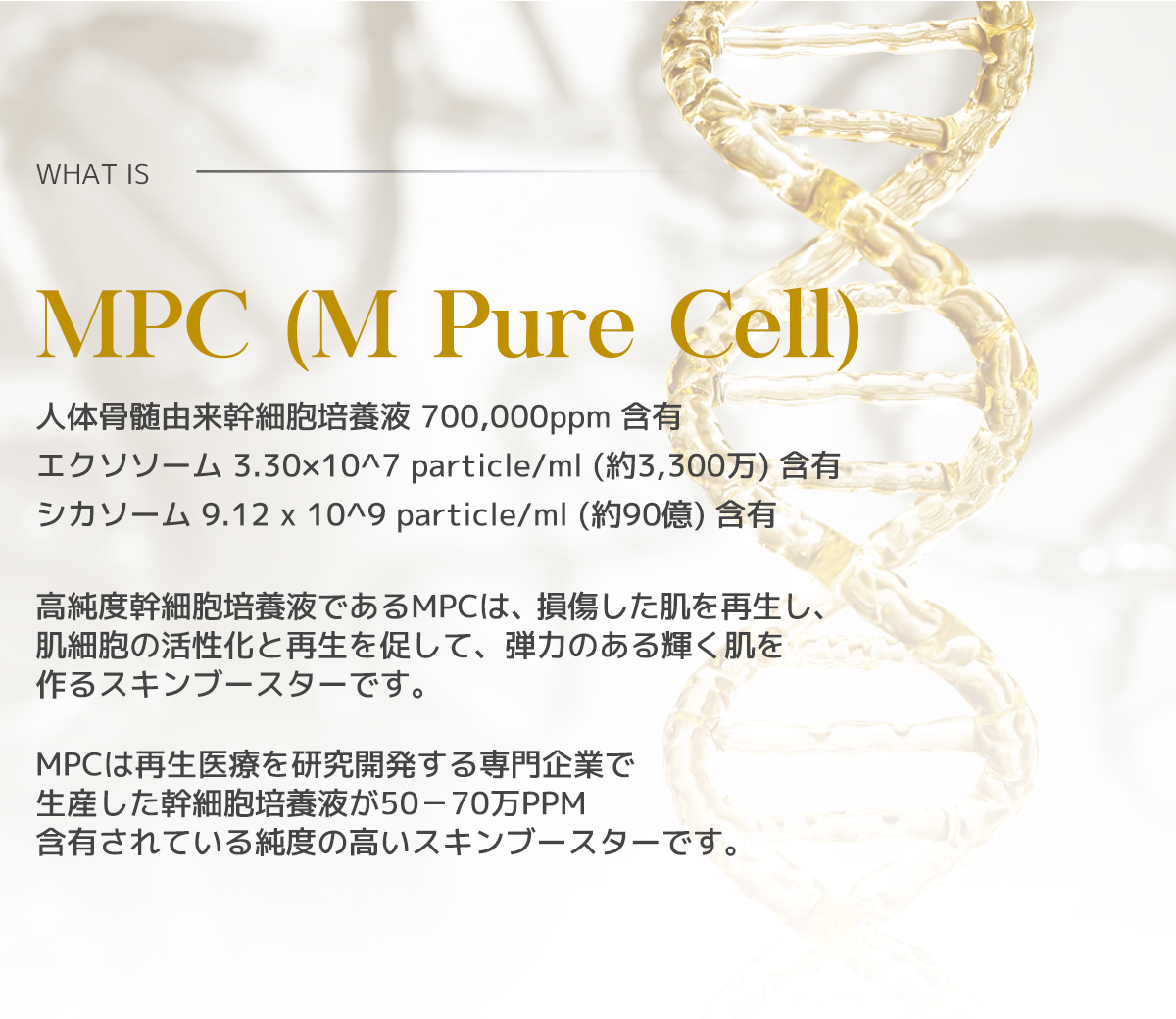 JK beauty Cell Clinic